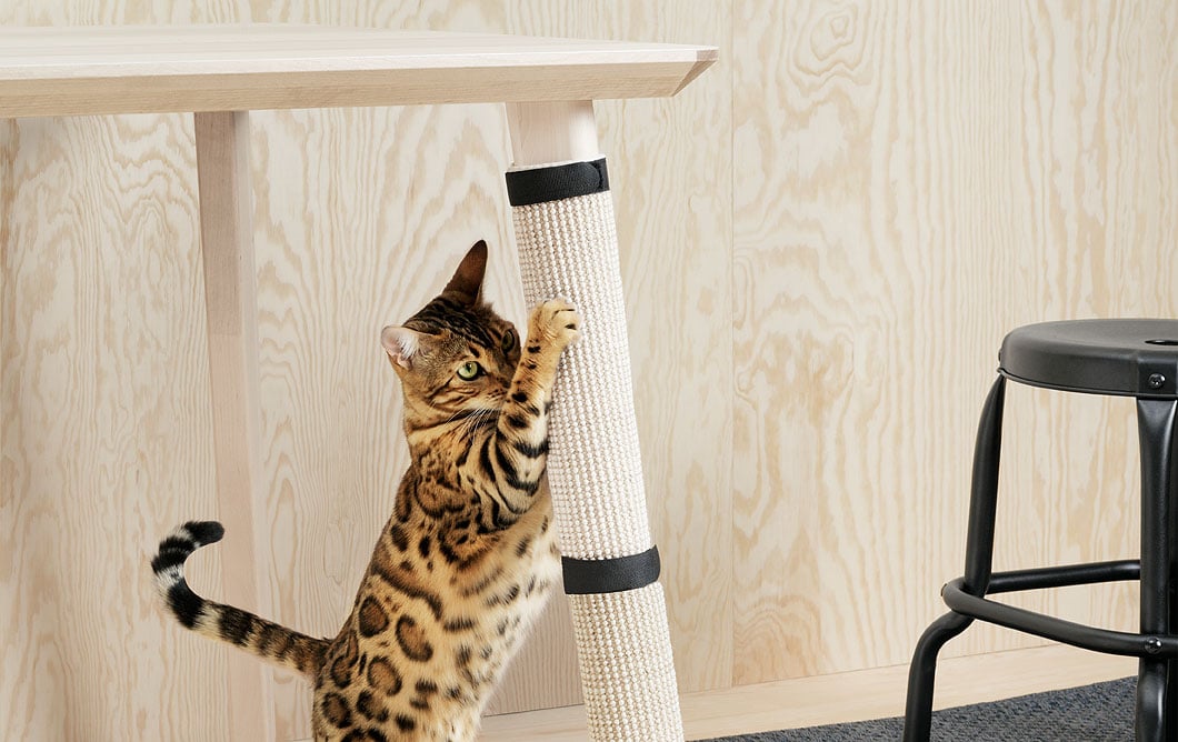 Since our cats share our homes with us, we have to create an environment where they can play and at the same time learn where their spaces are. This scratch mat can be wrapped around a table leg, so they can have fun and you can say goodbye to scratches.