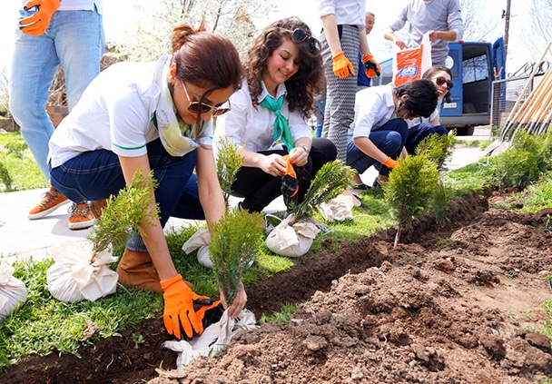 Image result for tree planting project