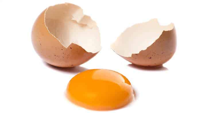 1. Sebutir Telur