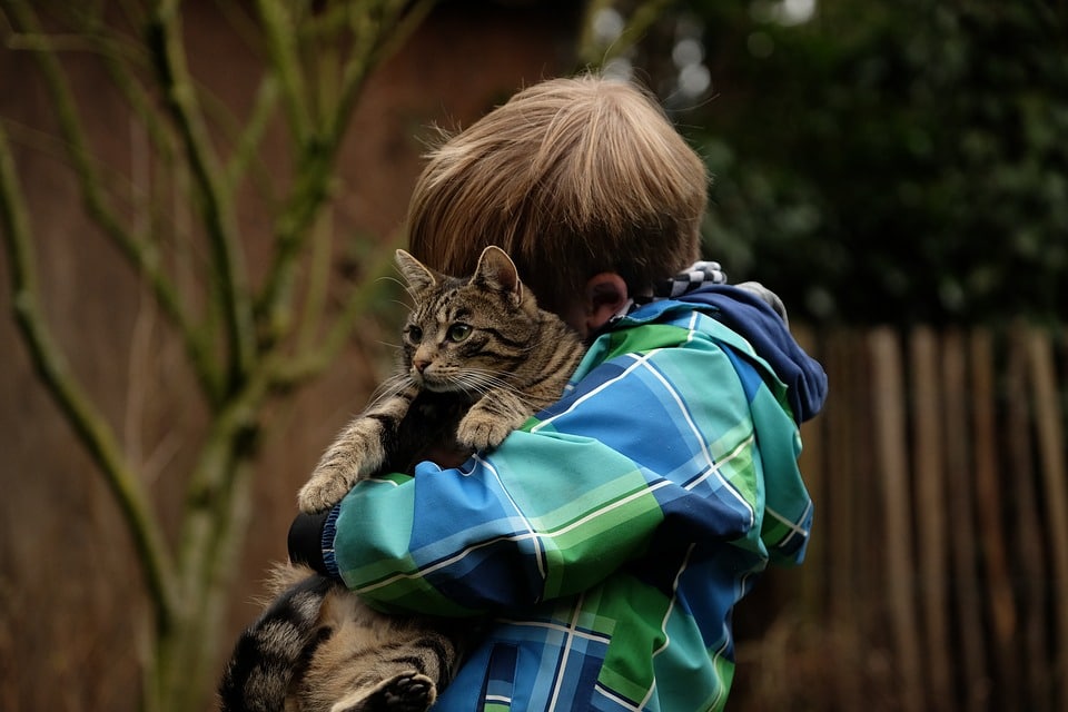Friendship, Child, Cat, Together, Snuggle, Relationship