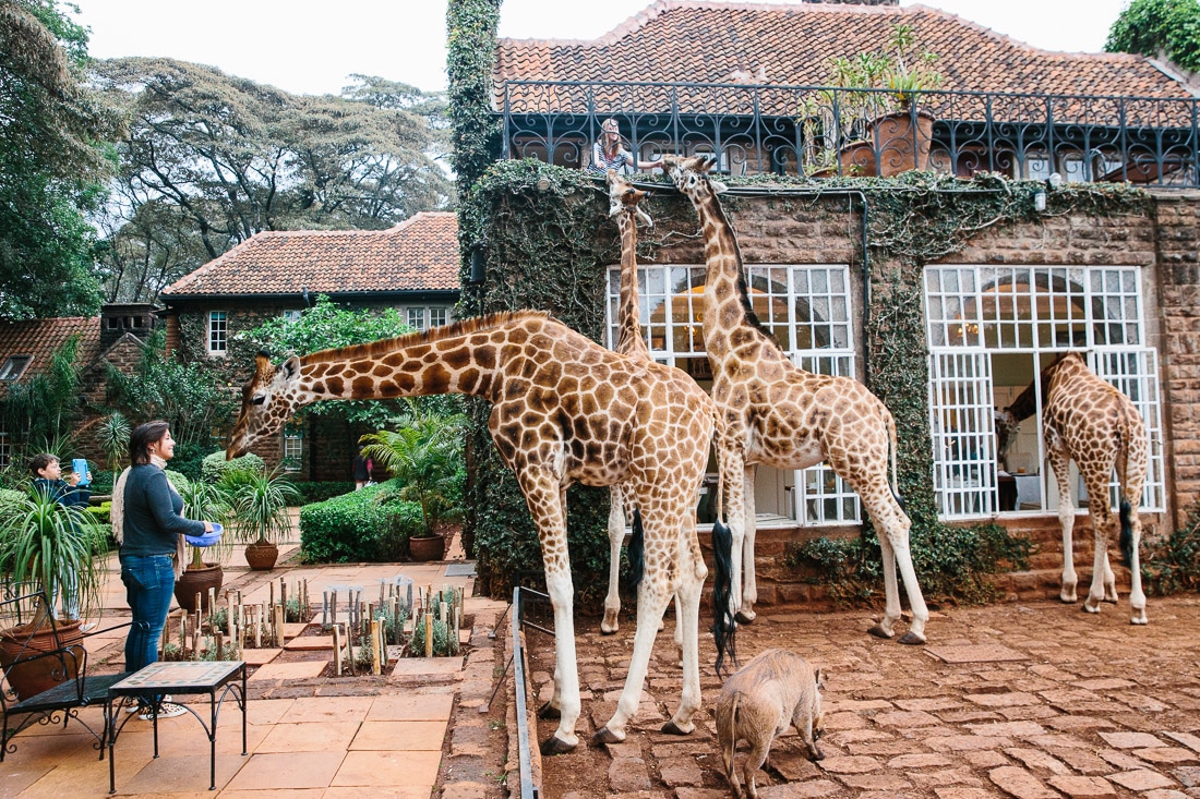 Image result for Giraffe Manor, Nairobi, Kenya