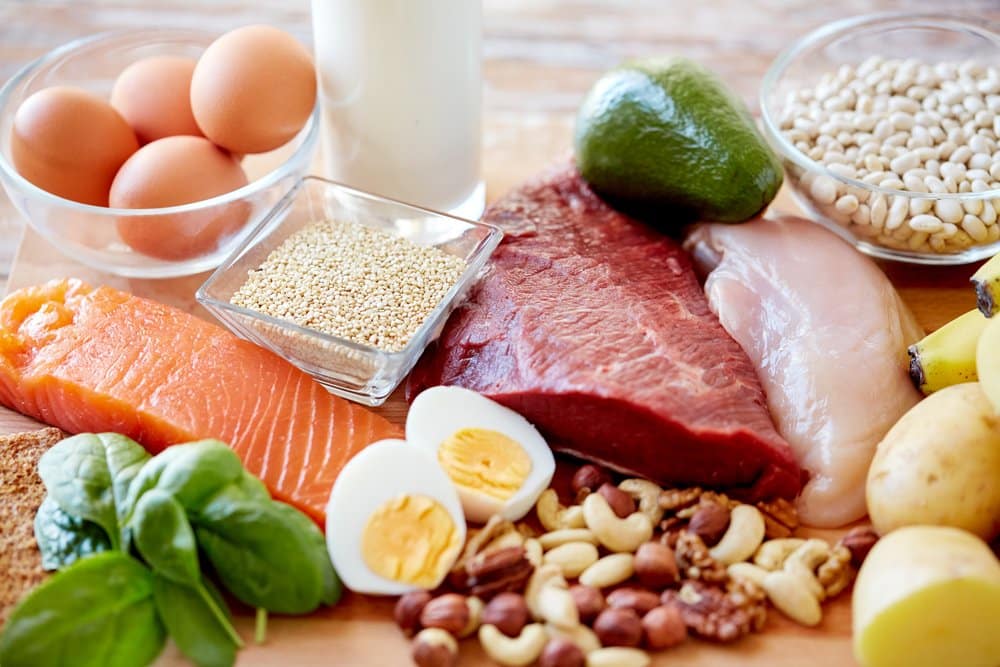 Image result for food protein