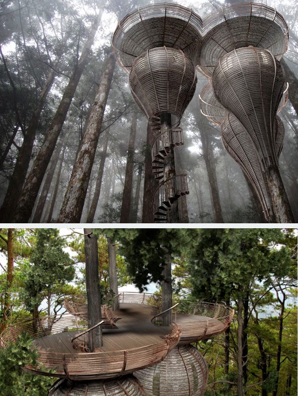 1. Nggak Perlu Memanjat, Rumah Pohon ‘Roost Treehouse’ Ini Sudah Punya Tangga Melingkarnya Sendiri